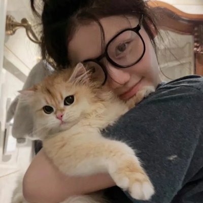 龟甲秘事之拨云见日