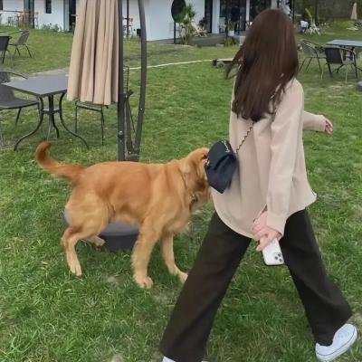异形庇护所第一季
